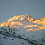 Akelei Saas Fee