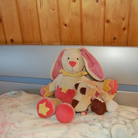 Apartament Akelei Saas-Fee