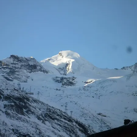 Akelei Saas-Fee